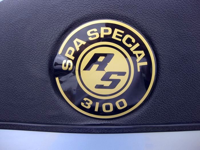 Logo RS3100