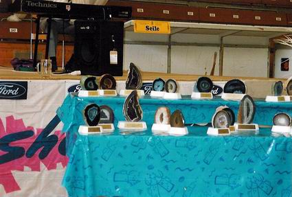 Die Auszeichungen in Naturform
The awards in natural form
Les distinctions en nature